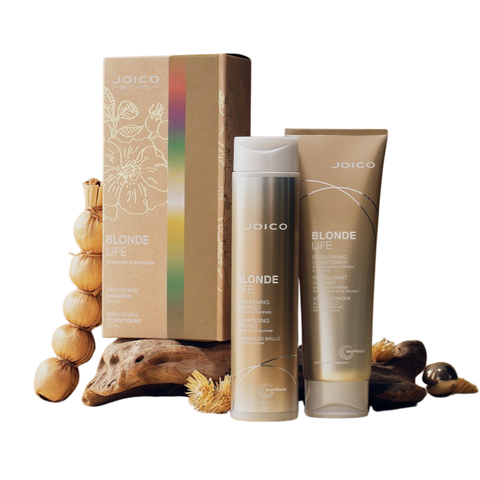 Joico Blonde Life Gift Set