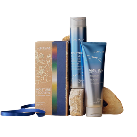 Joico Moisture Recovery Gift Set